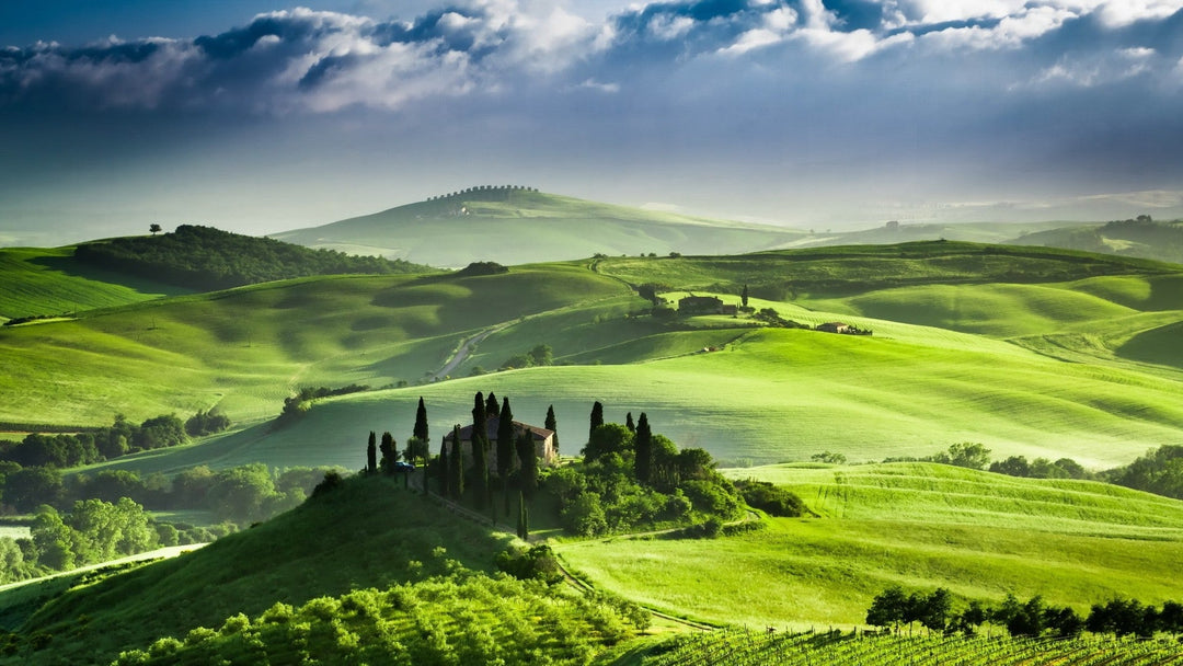 Our Tannery: Inside the Heart of Tuscan Leather Craftsmanship